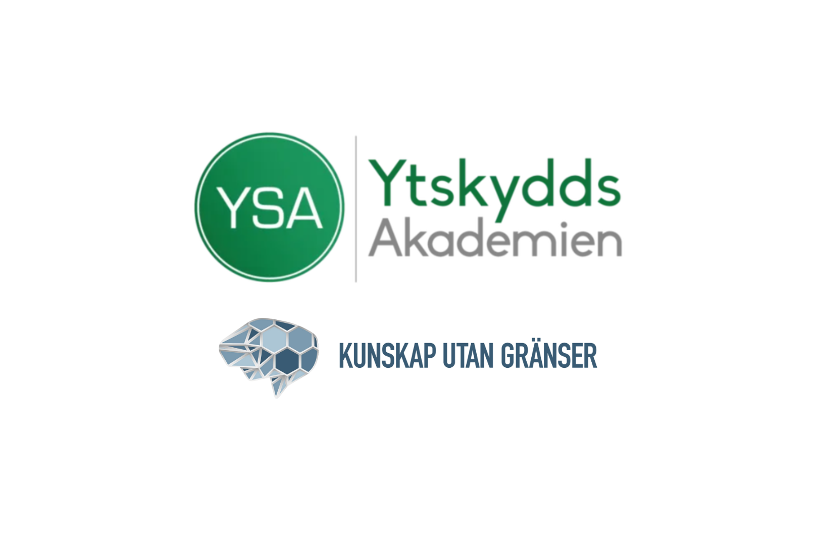 Ytskyddsakademien i Sverige AB